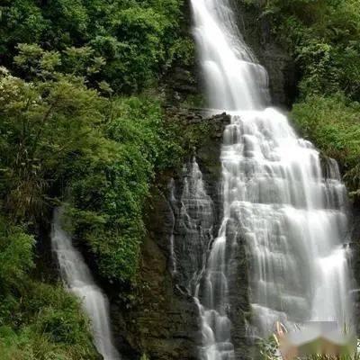发现冷知识的什么面条好吃分享平台-每日新鲜有趣冷知识尽在什么面条好吃